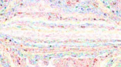 image: image from chalk