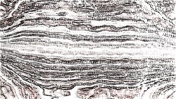 image: image from general