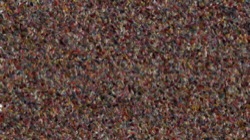 image: image from liquid