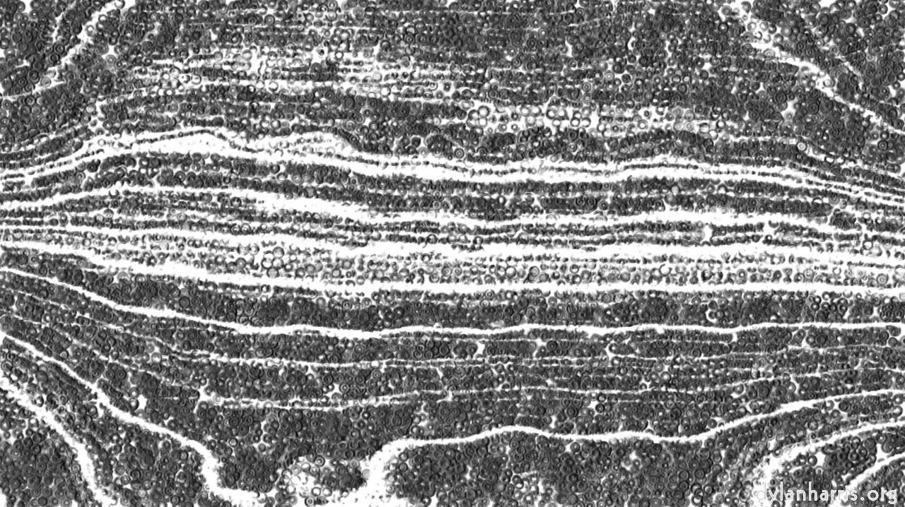 image: pencils :: pencilshader1