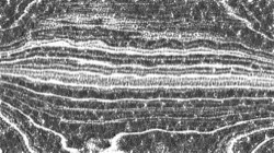 image: image from pencils