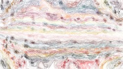 image: image from scribble