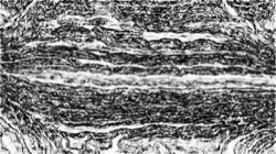 image: image from sketch effects 1