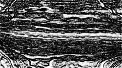 image: image from sketch effects 1