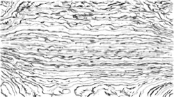 image: image from sketch effects 1