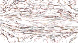 image: image from sketch effects 1