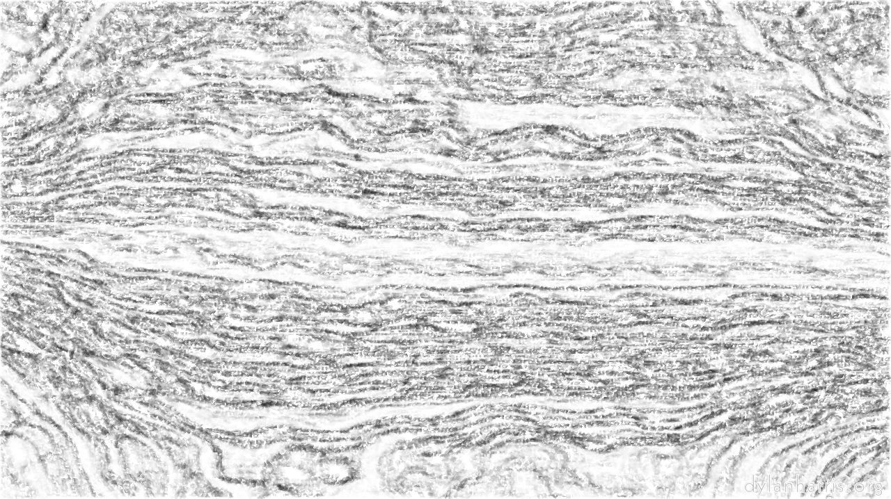 image: sketch soft with pen :: sketch4