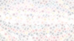 image: image from soft styles