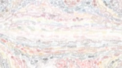 image: image from soft styles