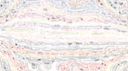 image: image from utility