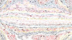 image: image from vibrant textures