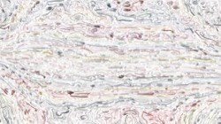 image: image from wet