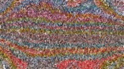 image: image from wet