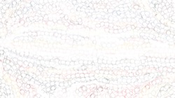 image: image from wet paint