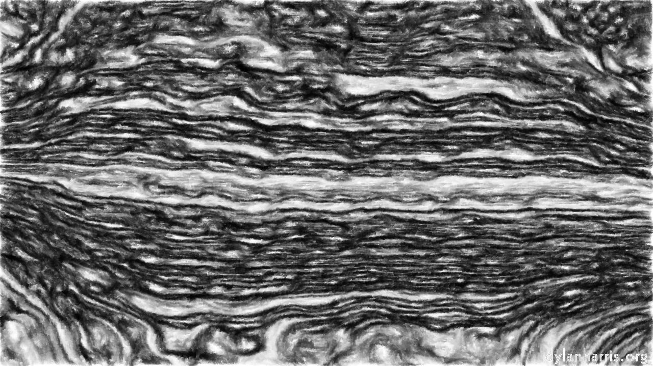 image: autopaint :: bwsoftsketch