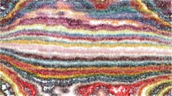 image: image from autopaint