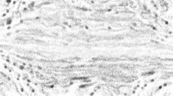 image: image from granular textures