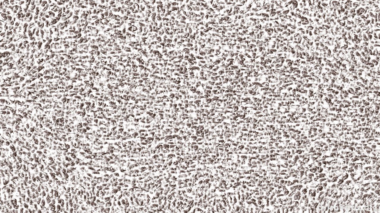 image: image brushes :: mrbabyapplicator