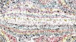 image: image from impressionistic