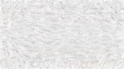 image: image from impressionistic