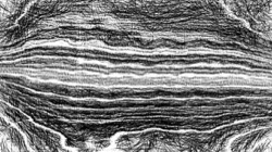 rough sketch :: roughstrawsketch1