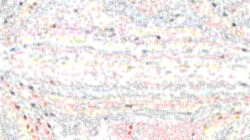 image: image from screen effects