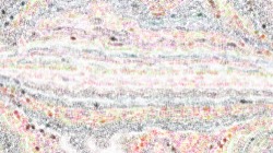 image: image from screen effects