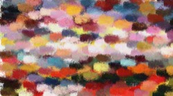 image: image from sponges