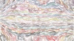 image: image from sponges