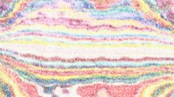 image: image from sponges