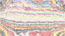 image: image from sponges