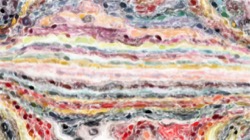 image: image from watercolour wet