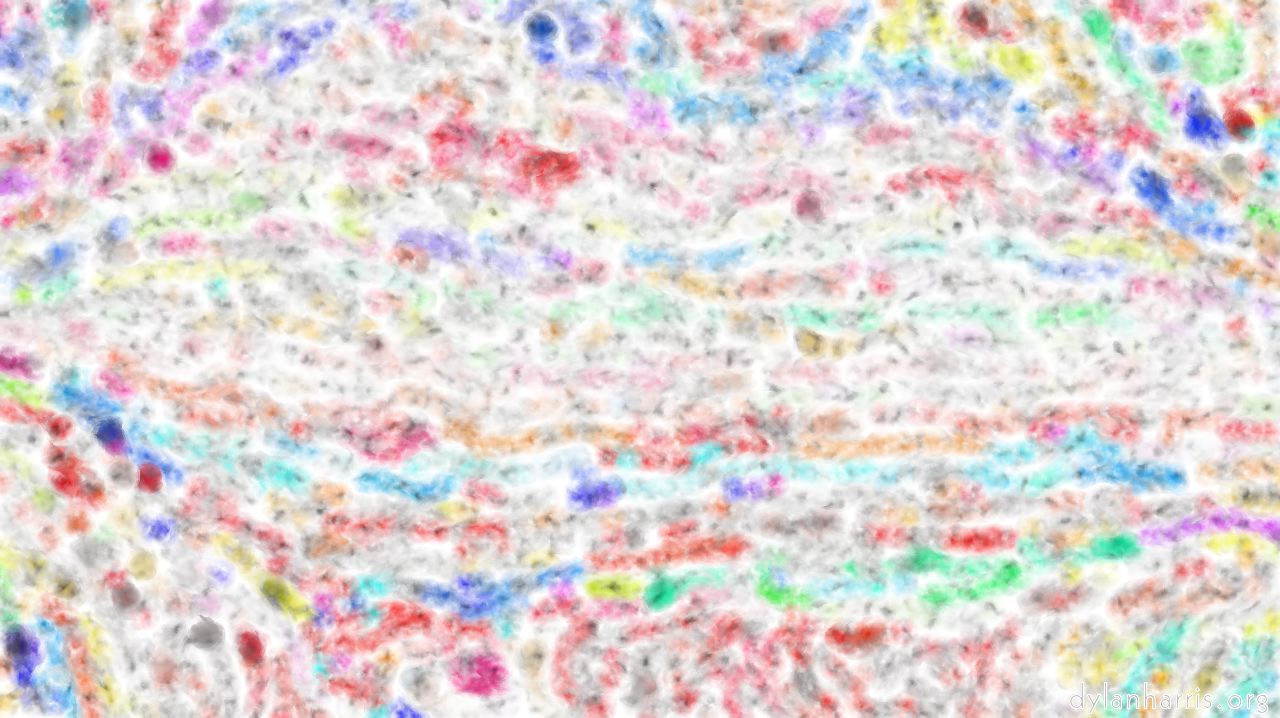 image: wet :: saturatedwet3