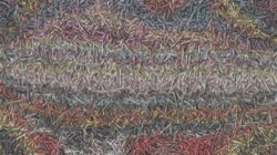 image: image from wet