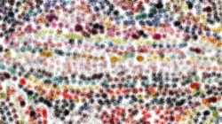 image: image from wet