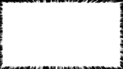 image: image from borders