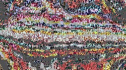 image: image from colour examples 1