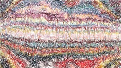 image: speciality thumbnail