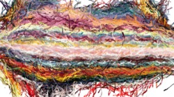 image: image from edge autodraw