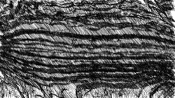 image: image from freestyle autodraw