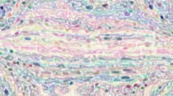 image: image from misc examples