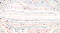 image: image from movie brush examples