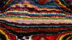 image: speciality thumbnail