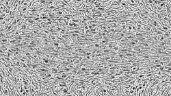 Image: image from woodcut