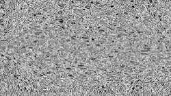 Image: image from woodcut