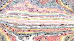 image: image from cd media presets 2002