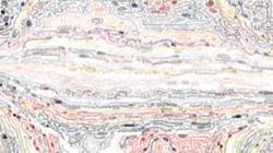 image: image from cd media presets 2002