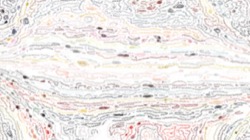 image: image from cd media presets 2002