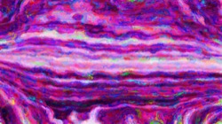 image: image from cd media presets 2002