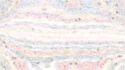 image: image from cd media presets 2002